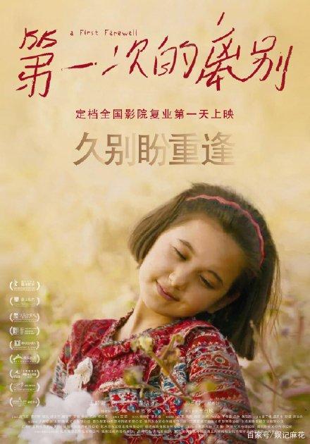 假爱尔兰护照扫描件怎么买高仿